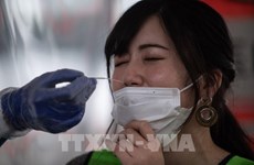 日本富士拟在越南生产新冠肺炎病毒检测试剂盒 