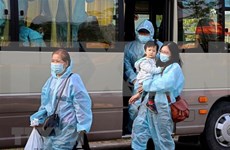 日本媒体称赞越南、新加坡和中国台湾的防疫工作