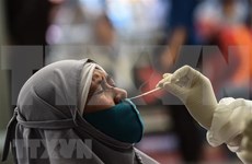 新冠肺炎疫情：印度尼西亚新增死亡病例创有史以来新高