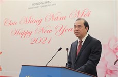 越南将继续成为世界和地区经济增长中的亮点