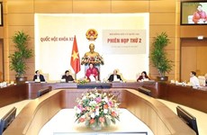 越南国会主席阮氏金银主持国家选举委员会第二次会议