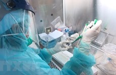 卫生部：第三种新冠疫苗预计在2021年第一季度内进行临床测试