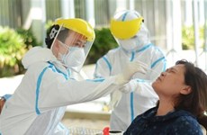 胡志明市新增一例新冠肺炎确诊病例  与海阳省有关