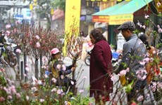 河内市取消或暂停举行多项庆祝2021年春节的文化活动