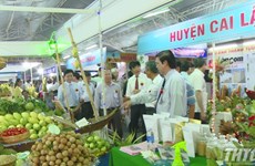 越南前江省扶助企业促进主要产品贸易