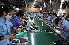 越南皮鞋产业努力克服困难  更深更广地参与国际市场