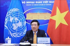 范平明出席联合国安理会新冠疫苗问题部长级公开会