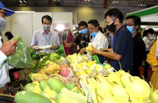 九龙江三角洲考虑在河内成立农产品推介中心