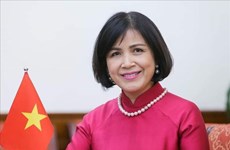 越南出席世贸组织对缅甸第二次贸易政策审议