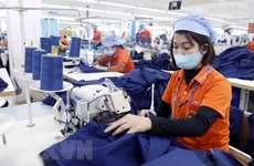 越南纺织服装企业充分利用自贸协定带来的机遇