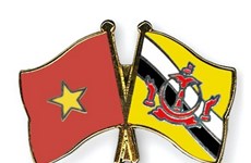 越南党和国家领导人向文莱领导人致贺电