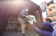 河内市帮助海阳省促进农产品销售