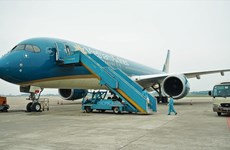 春节期间越南各家航空公司执行的航班量近2.1万架次