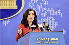 外交部发言人：越南希望缅甸保障越南公民的安全