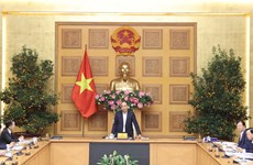 阮春福总理主持关于岘港市总体规划的会议
