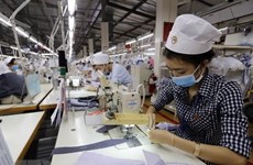 今年2月份越南新注册成立企业数量逾8000家