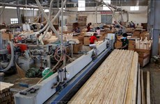 平阳省木制品出口额位居全国首位