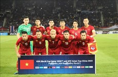 越南将参加在阿联酋举行的2022年世界杯亚洲区预选赛