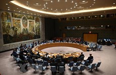 印度与越南就联合国安理会问题进行磋商