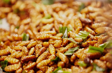 越南昆虫食品获准出口欧盟
