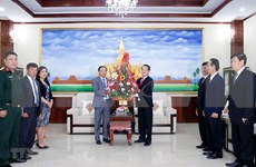 越南祝贺老挝人民革命党成立66周年