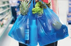 河内市应立即防止塑料废物重新增加现象