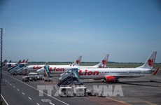 韩国仁川机场集团将参加印尼总额达5.3亿美元的机场项目