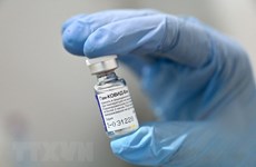 越南卫生部批准使用俄罗斯疫苗   