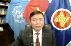 越南与联合国安理会：越南支持阿富汗和平进程