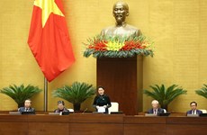 越南第十四届国会第十一次会议：提请国会免去国会主席和国家选举委员会主席的职务