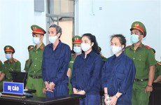 庆和省：对“传谣破坏国家”的3名分子判处5至9年有期徒刑