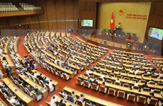 旅德越南知识分子对越南新政府寄予厚望
