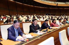 越南第十四届国会第十一次会议：选举国会副主席和国会常务委员会部分委员