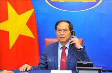 越南与文莱外交部长通电话