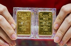 14日上午越南国内市场黄金价格每两上涨17万越盾