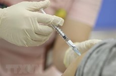 新冠肺炎疫情：越南新增3例输入性病例