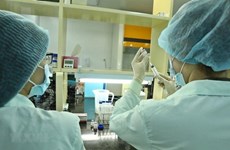 越南政府为国内新冠疫苗研发与生产工作创造便利条件 