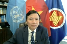 越南与联合国安理会：联合国安理会就科索沃问题进行讨论