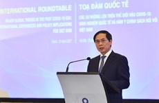  “后疫情时代世界主要趋势：国际经验和对越南政策的启发”国际座谈会在河内举行