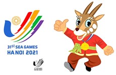 河内市为第31届东南亚运动会和第11届东南亚残运会作好准备