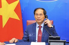 越南外交部部长裴青山与新加坡和印度外长通电话
