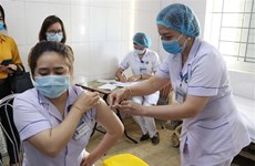 越南19个省市第一批和第二批接种人数达到67789人