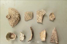 越南京城研究院公布10年考古研究方面的成就