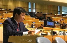 越南与联合国安理会：越南呼吁重启中东和平进程谈判