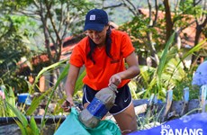旅居岘港外国人携手整治环境卫生