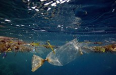 日本协助越南进行海洋科研和处理塑料废料
