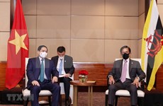 越南政府总理范明政会见文莱苏丹哈桑纳尔