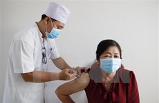 越南新增6例新冠肺炎确诊病例