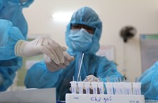 河内市：新增1例本土新冠肺炎确诊病例
