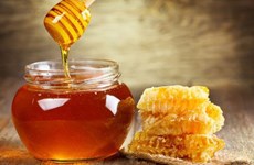 越南蜂蜜可能面临美国反倾销调查